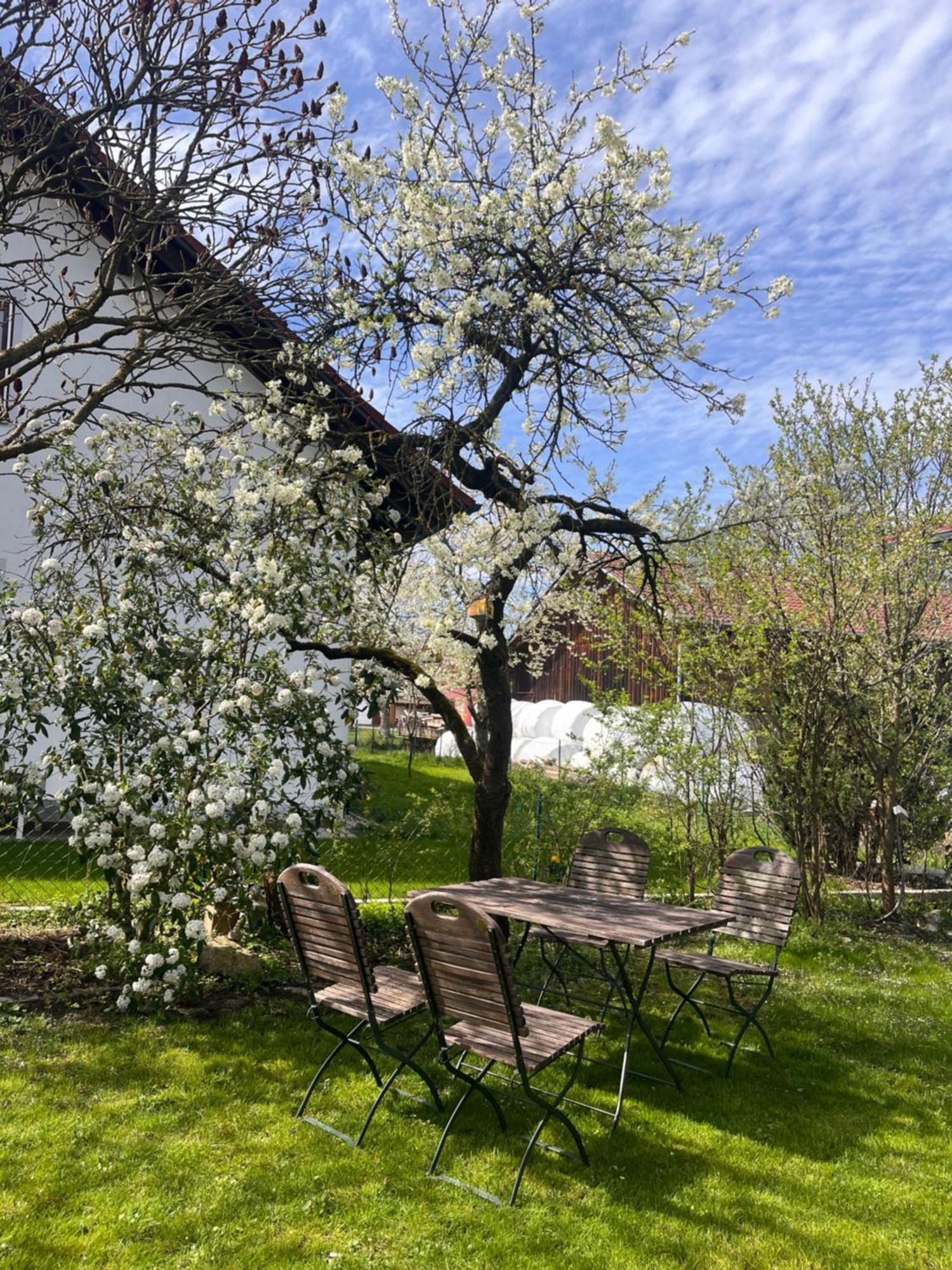 Zimmer Zum Wohlfuehlen Eching  Exterior foto